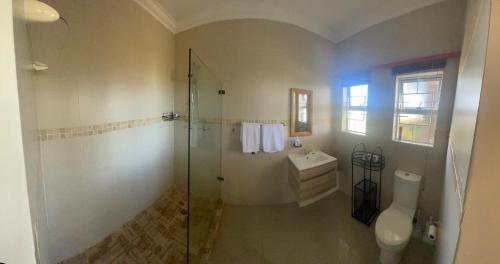 a bathroom with a shower and a toilet and a sink at The Sanctuary Guest House Estate in Cape Town