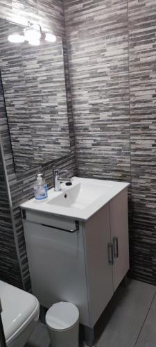 a bathroom with a sink and a toilet at Apartamentos Crispin Anais in Corella