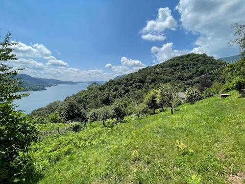 a grassy hill with a view of a lake at Into the wild in Oira