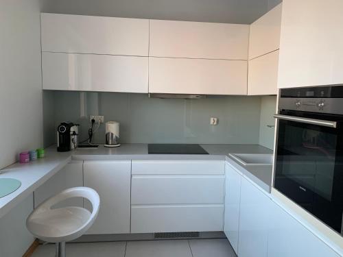 Kuchyň nebo kuchyňský kout v ubytování Apartament Leska