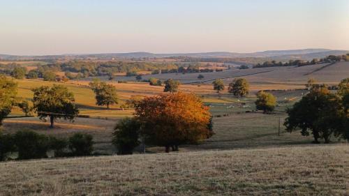 a view of a field with trees and hills at Le Manivert in Vitry-Laché