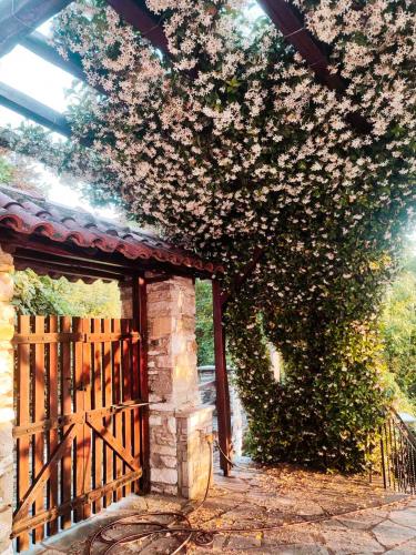 Foto The View House Portaria Pelion 3