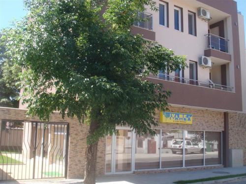 a tree is in front of a building at Ivatea Family Hotel in Ravda