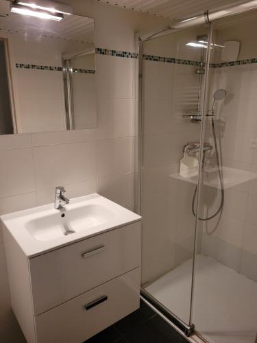een badkamer met een wastafel en een douche bij Ker Lucie- Les Gîtes de la Côte d'Amour ! in Batz-sur-Mer