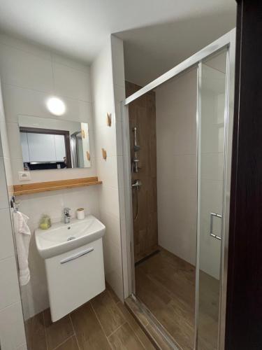 Koupelna v ubytování Apartmán Paula 3