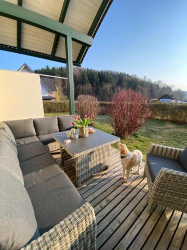 Eine Katze steht auf einer Terrasse mit einem Sofa und einem Tisch in der Unterkunft Ferienhaus Wild Schlögl in Leutschach