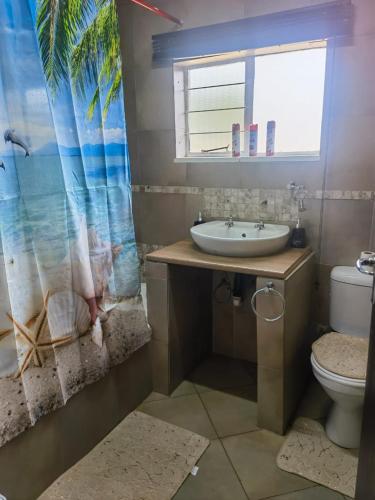 a bathroom with a sink and a toilet and a window at Mimosa's @ 44 in Roodepoort