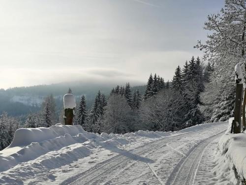 a road covered in snow with trees in the background at Chalupa Hejmovka in Špindlerův Mlýn