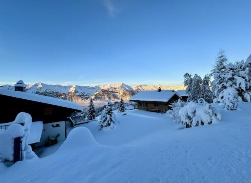 Chalet Chutzli durante el invierno