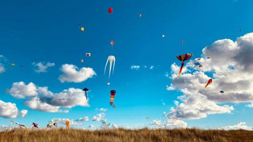 a bunch of kites flying in the sky at Kajüthus Apartment 1 in Fehmarn
