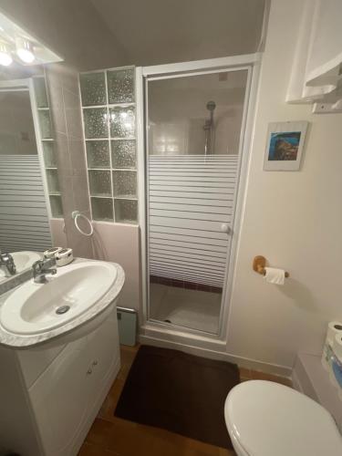 een badkamer met een wastafel, een toilet en een douche bij Lylou in Gréolières