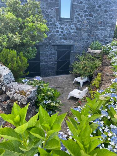 a garden with blue flowers and a stone building at Waka Sun Set PICO AZORES in São Roque do Pico