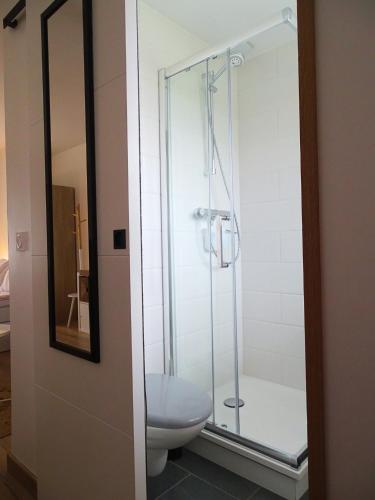 bagno con doccia in vetro e servizi igienici di Moderne & au centre - Studio a Lorient