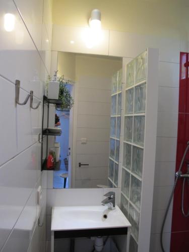 een badkamer met een wastafel en een spiegel bij Studio avec cour extérieure in Bagnolet