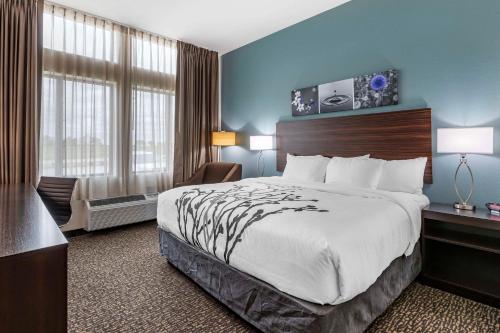 a hotel room with a large bed and a desk at Sleep Inn & Suites Milwaukee-Franklin in Franklin