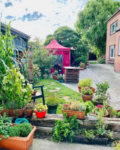 a garden with potted plants and a red tent at Kajüthus Apartment 1 in Fehmarn