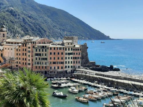 een groep boten is aangemeerd in een haven bij LA FINESTRA SUL MARE in Camogli