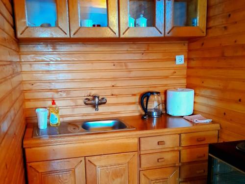 a kitchen counter with a sink in a cabin at Ethno village & resort Ćorić in Mojkovac