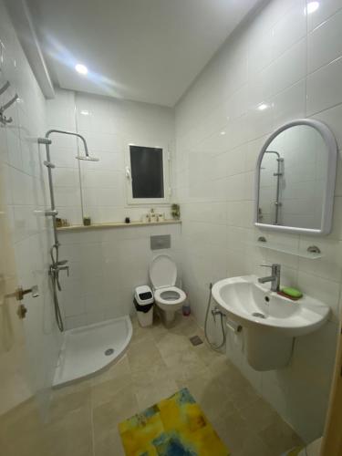 a bathroom with a sink and a toilet and a mirror at Superbe appartement hautstanding in Sfax