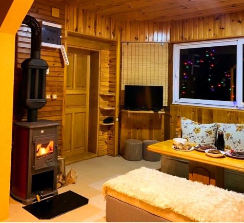 a living room with a fireplace and a stove at ECO ViLLAGE CORIC in Mojkovac