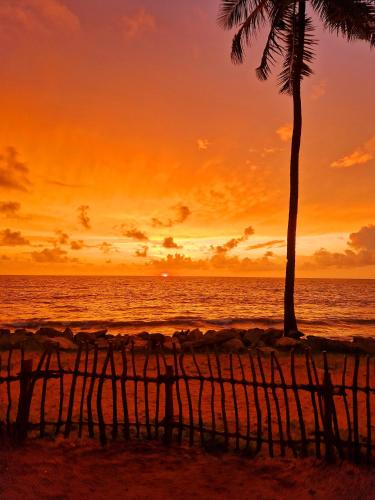 a sunset on the beach with a palm tree at Nature Paradise Guesthouse in Waikkal