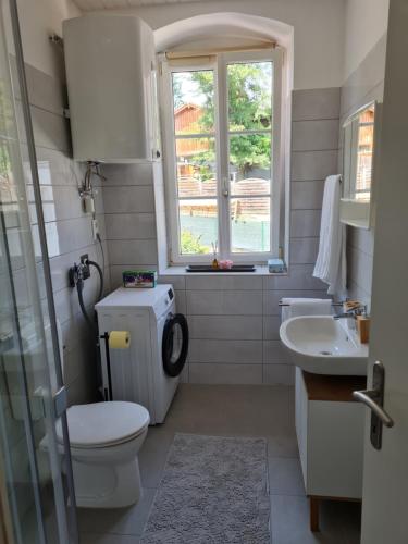 a bathroom with a toilet and a sink and a window at Traumhafter Altbau im Herzen Schwertbergs in Schwertberg
