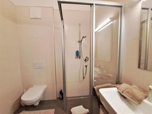 a bathroom with a shower and a toilet and a sink at Apartment Margret- Top 12 by Interhome in Gagering