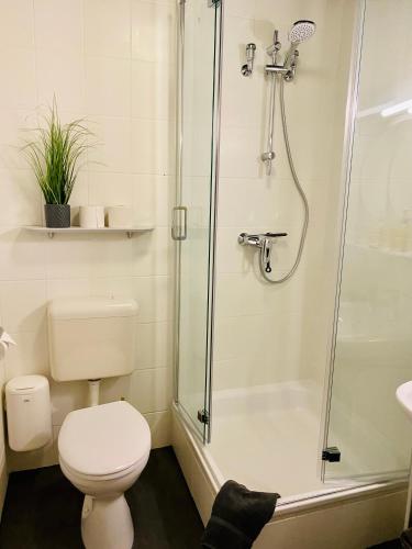 a bathroom with a toilet and a shower at Kajüthus Apartment 4 in Fehmarn