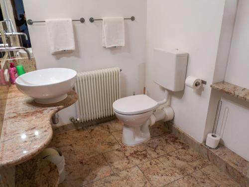 uma casa de banho com um WC branco e um lavatório. em Apartment Baden-Baden by Interhome em Hinterzarten