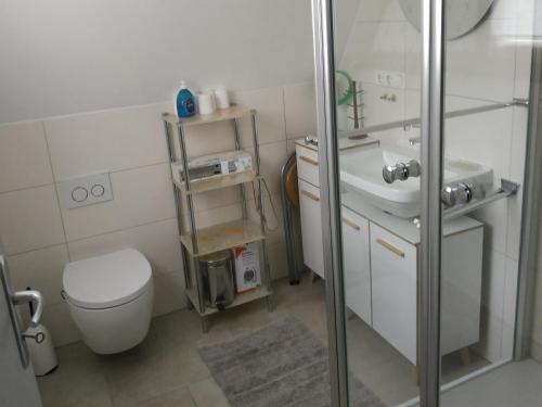 a bathroom with a toilet and a sink at Haus 4-Jahreszeiten in Siegsdorf