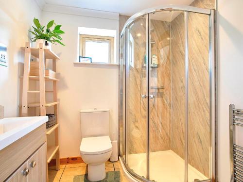 uma casa de banho com um chuveiro e um WC. em 2 Bed in Ardross CA384 em Stittenham