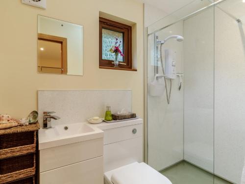 een badkamer met een douche, een wastafel en een toilet bij 1 Bed in Beccles 78766 in Beccles