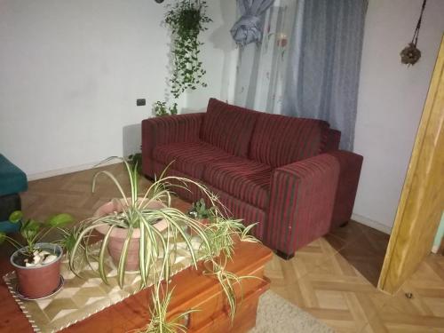 un soggiorno con divano rosso e piante in vaso di casa familiar a Guangualí