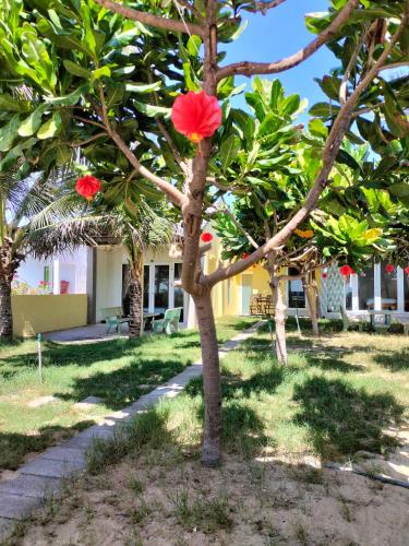 a tree with red flowers on it in a yard at Biển Ngọc Homstay in Ấp Sung Xuân