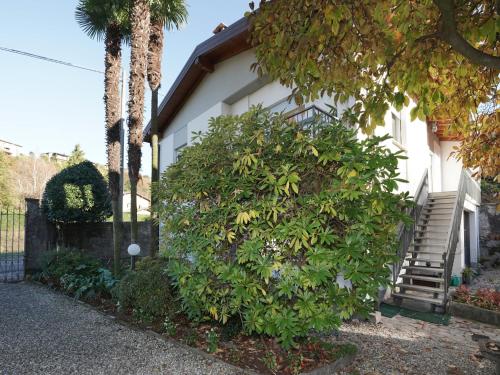 a large green bush in front of a house at Holiday Home Erica by Interhome in Porto Valtravaglia