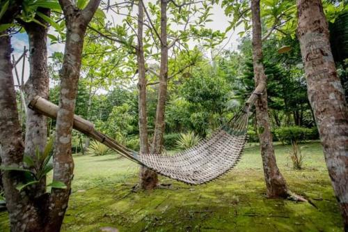 a hammock hanging between two trees in a garden at Dawdoylisu Chiangmai in Ban Ton Kham