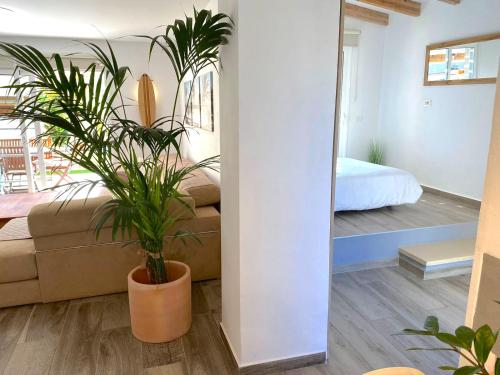 Medano Beach - Villa Playa