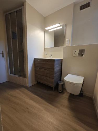 une salle de bain avec toilettes, lavabo et miroir dans l'établissement Les Hauts de Morlaix, à Morlaix