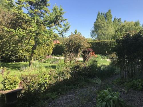 Metrie – Photos 5