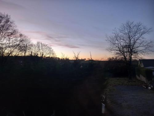 a sunset over a field with trees in the background at Chalet - l'Endoxyle in Froid-Chapelle
