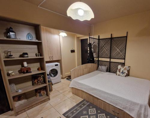 a small bedroom with a bed and a washing machine at Ana Studio in Hunedoara