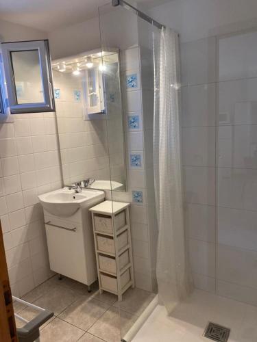 une salle de bain avec un lavabo et une douche dans l'établissement Appartement T2 Olmeto, à Olmeto