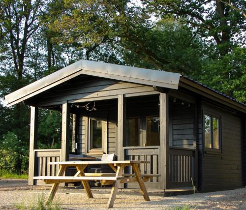 una pequeña cabaña con una mesa de picnic frente a ella en Holiday Hut en Bornerbroek