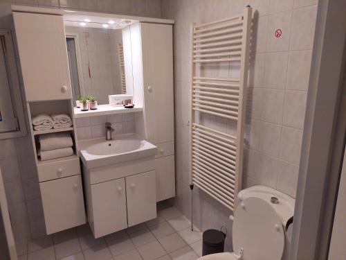 een badkamer met een toilet, een wastafel en een spiegel bij Comfort chalet nr. 19 in Putten