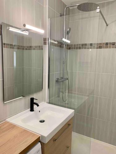 une salle de bain avec un lavabo et une douche dans l'établissement Studio Le Pensier - Monplaisir, à Lyon