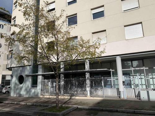 un arbre assis devant un bâtiment dans l'établissement Studio Le Pensier - Monplaisir, à Lyon