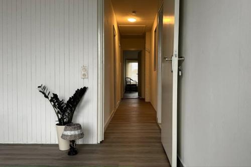 a hallway with a plant in a pot and a hallway with a hallway at Appartement met prachtig uitzicht over de binnenstad van Leeuwarden in Leeuwarden