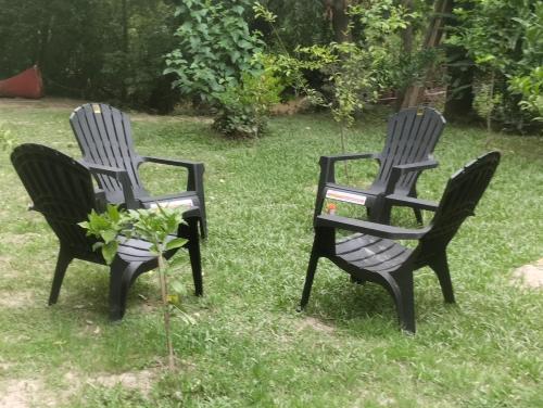 dos sillas negras sentadas en el césped con una planta en Cabaña Isla Coco en Tigre