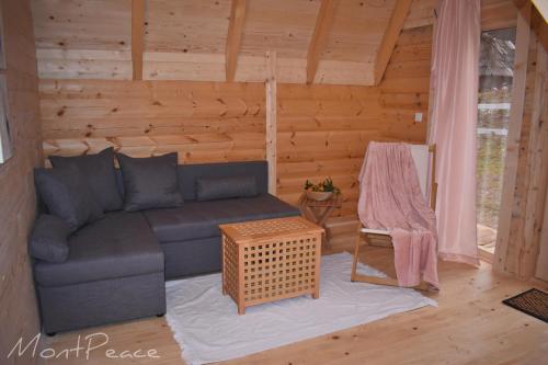 Χώρος καθιστικού στο A-frame Apartments Mont Peace