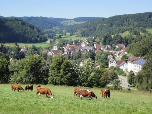Galeriebild der Unterkunft Haus an der Haslach in Lenzkirch